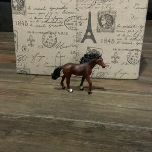 A brown mare with a black mane and tail